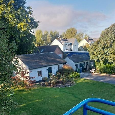 Cosy 2 Bed Cottage Next To Fota Wildlife Park Cork Zewnętrze zdjęcie